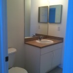 1412 ne 1 ave guest bath