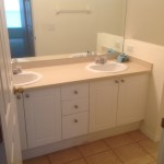 photo 3 (3)