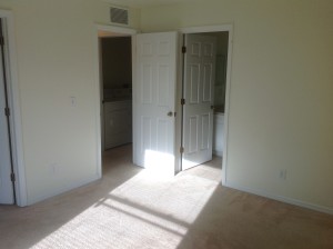photo 1 (1)